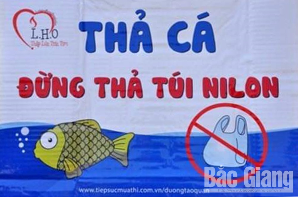 Hoạt động tuyên truyền thả cá không thả rác