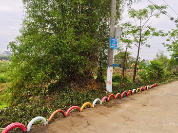 Đường hoa Thọ Xương1