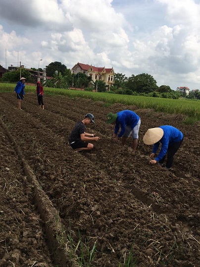 đoàn viên của xã Dĩnh trì chăm sóc cho ruộng hoa thanh niên